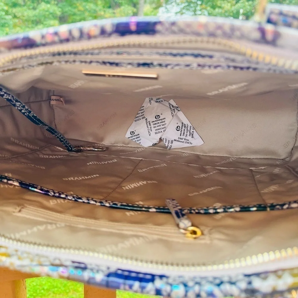 Brahmin Medium Asher Spellbound Ombre Melbourne Tote Snake Print NWT